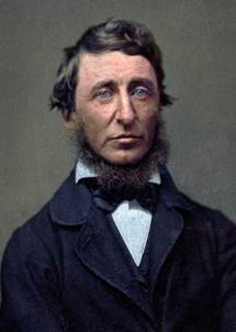 Henry David Thoreau (1856) | Henry david thoreau, Thoreau, Portrait